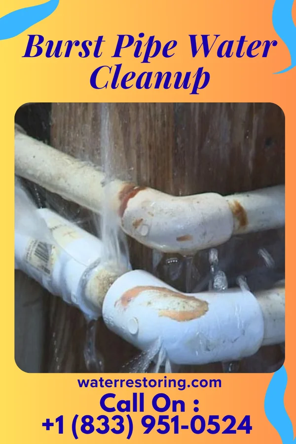 Burst Pipe Water Cleanup in Linden, IN