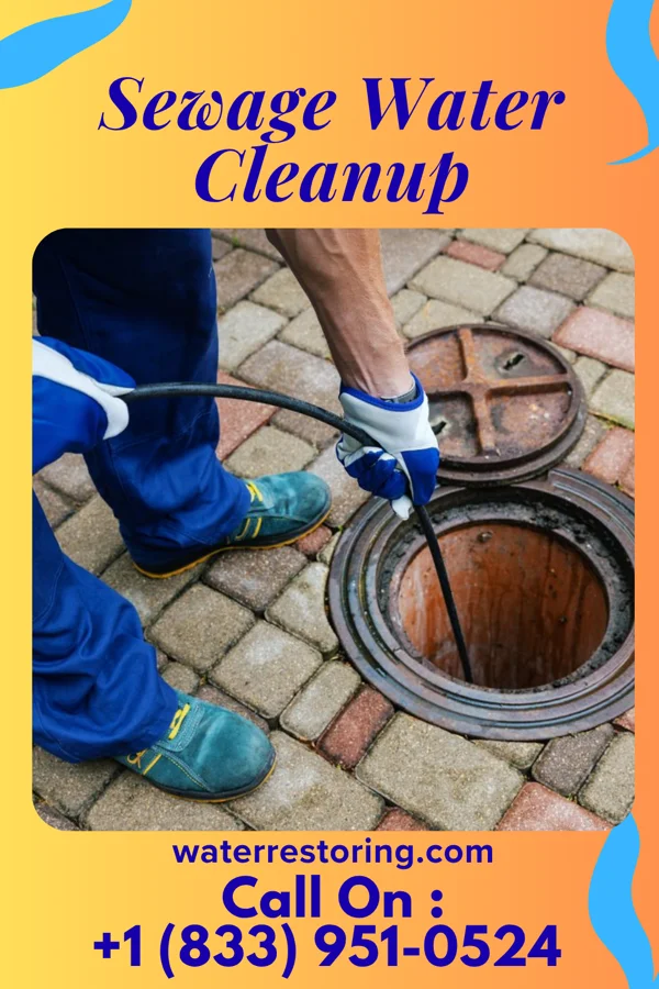 Sewage Water Cleanup in Linden, IN